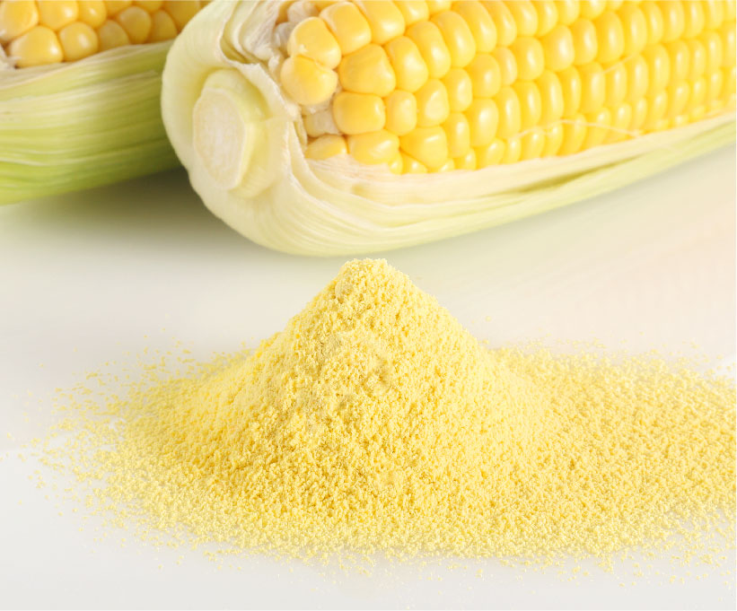 とうもろこしパウダー【国産野菜100%・無添加粉末】｜nacona(ナコナ)-三笠産業