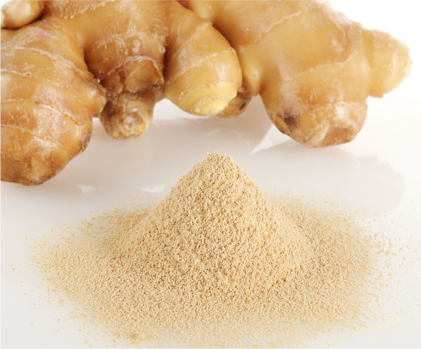 ジンジャーパウダー100g　ショウガオール 蒸し生姜　しょうがパウダー 粉末100g　ぽかぽかサポートにジンジャーパワー生姜！ - 23